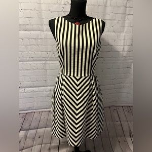 Zara Fit & Flare Dress Size L EUC